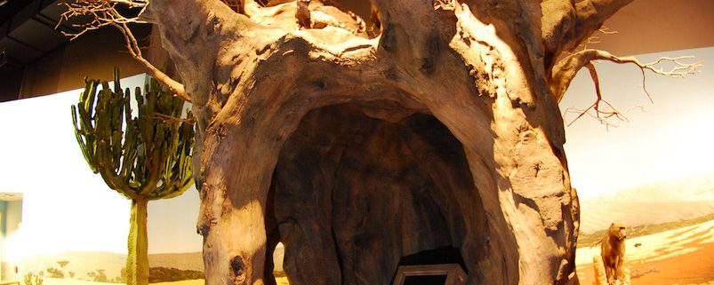 Trees-Tree-Nature-Maker-Naturemaker-Art-Artificial-Fake-Custom-design-unique-best-denver-museum-sculpture-baobab