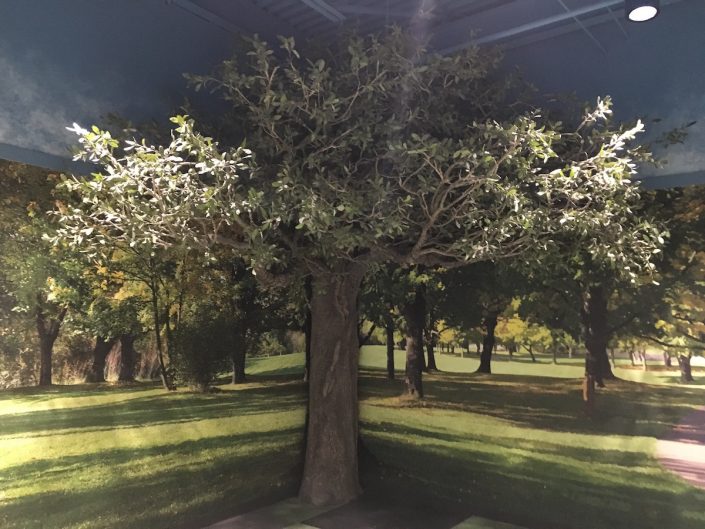 Trees-Tree-Nature-Maker-Naturemaker-Art-Artificial-Fake-Custom-design-unique-best-commercial-oak-library-texas