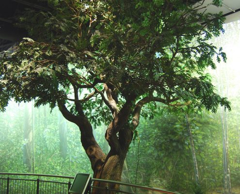 Trees-Tree-Nature-Maker-Naturemaker-Art-Artificial-Fake-Custom-design-unique-best-denver-faux-oak-museum