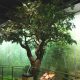 Trees-Tree-Nature-Maker-Naturemaker-Art-Artificial-Fake-Custom-design-unique-best-denver-faux-oak-museum