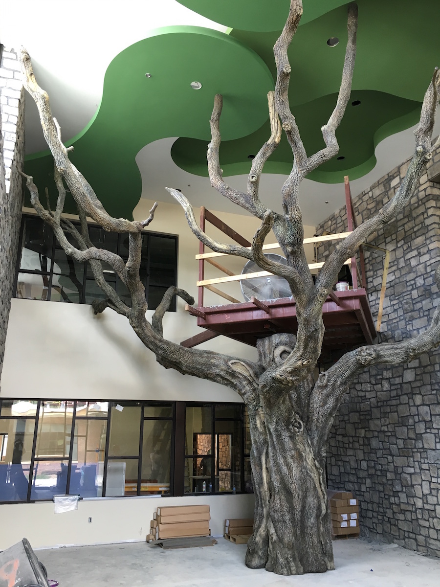Oak Tree With Treehouse Platform Elementary School