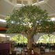 Trees-Tree-Nature-Maker-Naturemaker-Art-Artificial-Fake-Custom-design-unique-best-commercial-Indoor-casino-oak