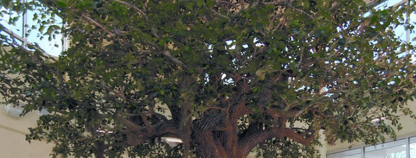 Trees-Tree-Nature-Maker-Naturemaker-Art-Artificial-Fake-Custom-design-unique-best-oak-large-replica-healthcare