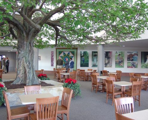Trees-Tree-Nature-Maker-Naturemaker-Art-Artificial-Fake-Custom-design-unique-best-oak-large-ohio-hotel