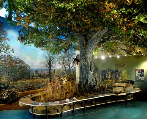 Trees-Tree-Nature-Maker-Naturemaker-Art-Artificial-Fake-Custom-design-unique-best-sculpture-oak-indoor-large