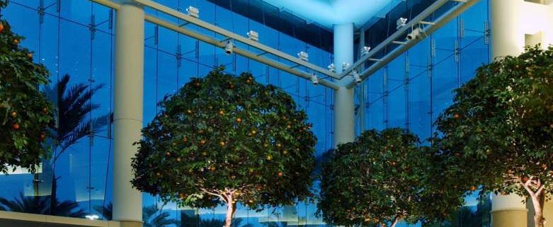 Trees-Tree-Nature-Maker-Naturemaker-Art-Artificial-Fake-Custom-design-unique-best-orange-mall-millenia-indoor