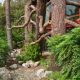 Trees-Tree-Nature-Maker-Naturemaker-Art-Artificial-Fake-Custom-design-unique-best-pine-zoo-los-angeles