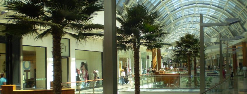 Trees-Tree-Nature-Maker-Naturemaker-Art-Artificial-Fake-Custom-design-unique-retail-commercial-palm-mall-millenia