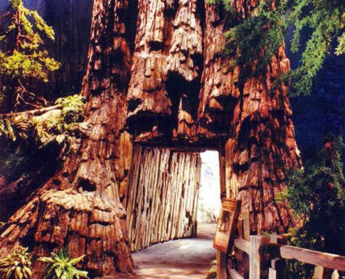Trees-Tree-Nature-Maker-Naturemaker-Art-Artificial-Fake-Custom-design-unique-best-commercial-Sculptures-redwood-museum
