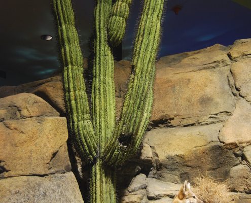 Trees-Tree-Nature-Maker-Naturemaker-Art-Artificial-Fake-Custom-design-unique-best-saguaro-cactus-denver-museum