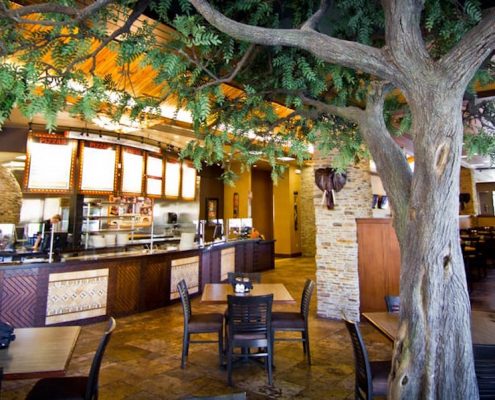 Acacia Tree at Malawi's Pizza, Houston