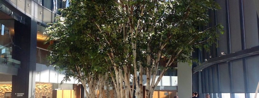 Trees-Tree-Nature-Maker-Naturemaker-Art-Artificial-Fake-Custom-design-unique-best-birch-commercial-lobby-Sculptured