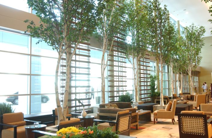 Trees-Tree-Nature-Maker-Naturemaker-Art-Artificial-Fake-Custom-design-unique-best-birch-hotel-westin-commercial