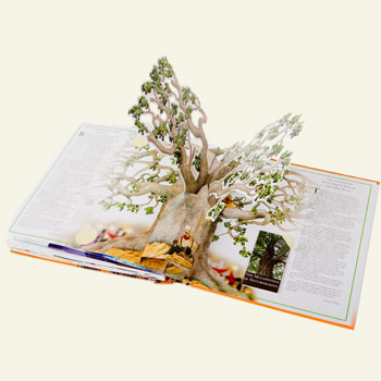 Trees-Tree-Nature-Maker-Naturemaker-Art-Artificial-Fake-Custom-design-unique-best-book-popup-read
