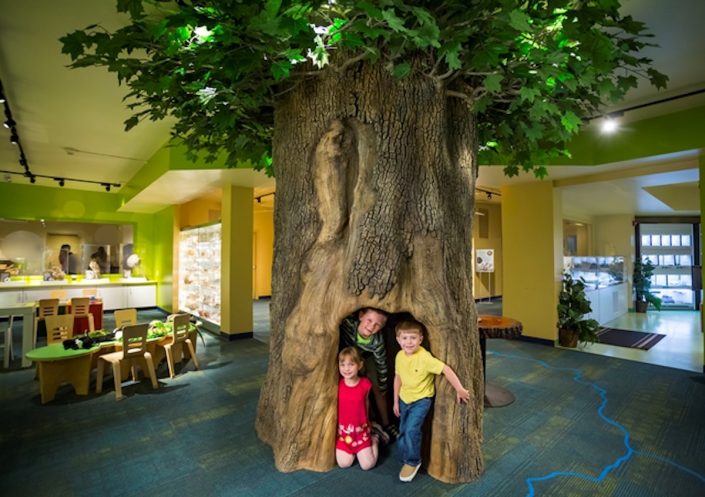 Trees-Tree-Nature-Maker-Naturemaker-Art-Artificial-Fake-Custom-design-unique-best-large-faux-maple-museum