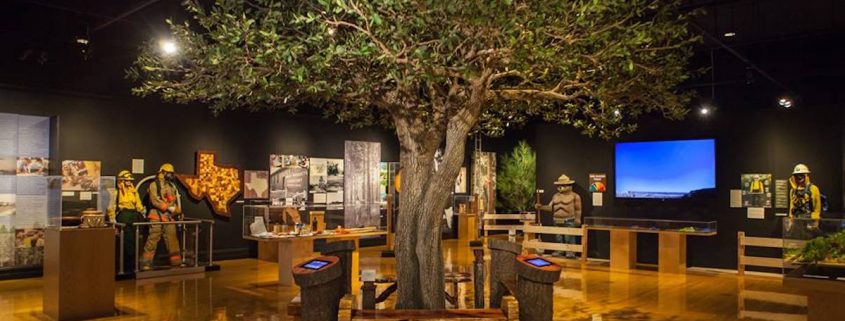 Trees-Tree-Nature-Maker-Naturemaker-Art-Artificial-Fake-Custom-design-unique-best-library-oak-sculpture-replica