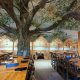 Trees-Tree-Nature-Maker-Naturemaker-Art-Artificial-Fake-Custom-design-unique-best-commercial-Indoor-oak-restaurant