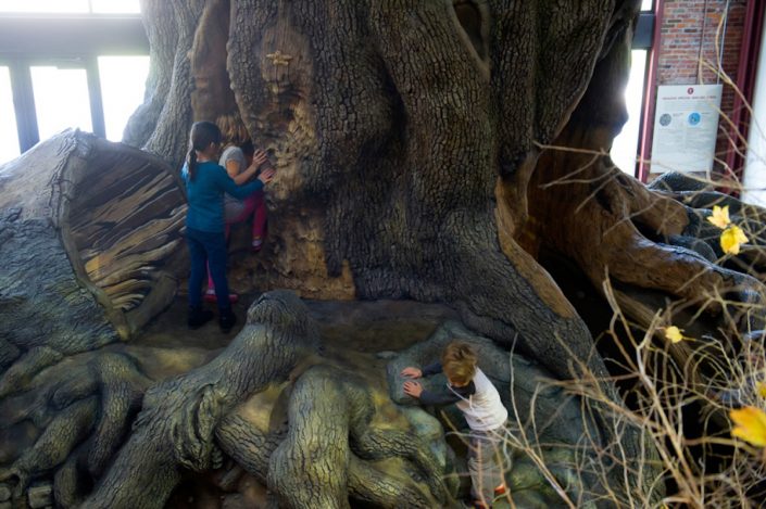 Trees-Tree-Nature-Maker-Naturemaker-Art-Artificial-Fake-Custom-design-unique-best-commercial-sculptured-oak-large