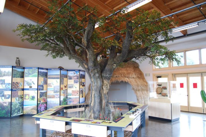 Trees-Tree-Nature-Maker-Naturemaker-Art-Artificial-Fake-Custom-design-unique-best-commercial-sculptured-oak-indoor