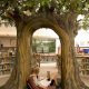 Trees-Tree-Nature-Maker-Naturemaker-Art-Artificial-Fake-Custom-design-unique-best-oak-library-ontario-canada