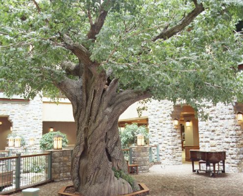 Trees-Tree-Nature-Maker-Naturemaker-Art-Artificial-Fake-Custom-design-unique-best-oak-hotel-Faux-commercial