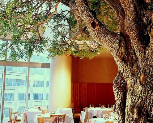 Trees-Tree-Nature-Maker-Naturemaker-Art-Artificial-Fake-Custom-design-unique-best-commercial-oak-Large-restaurant