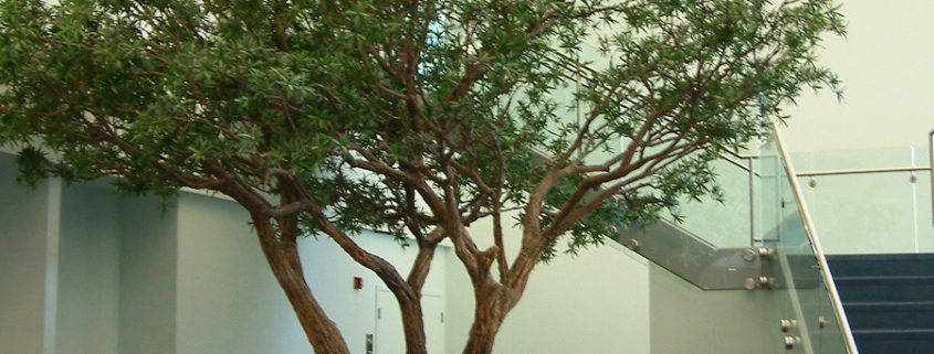 Trees-Tree-Nature-Maker-Naturemaker-Art-Artificial-Fake-Custom-design-unique-best-olive-faux-indoor-sculptured