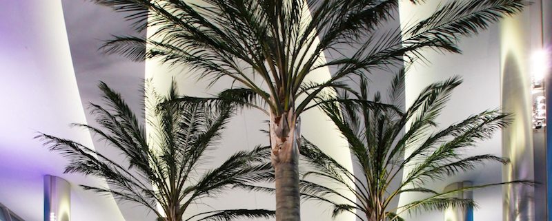 Trees-Tree-Nature-Maker-Naturemaker-Art-Artificial-Fake-Custom-design-unique-best-palm-san-diego-airport