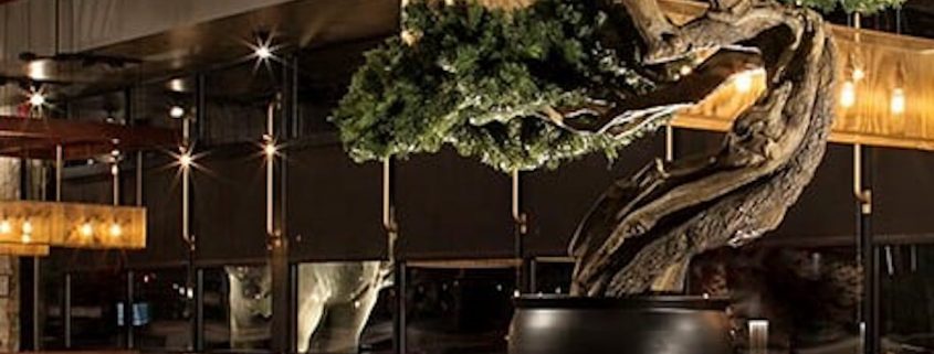 Trees-Tree-Nature-Maker-Naturemaker-Art-Artificial-Fake-Custom-design-unique-best-commercial-pine-bonsai-restaurant