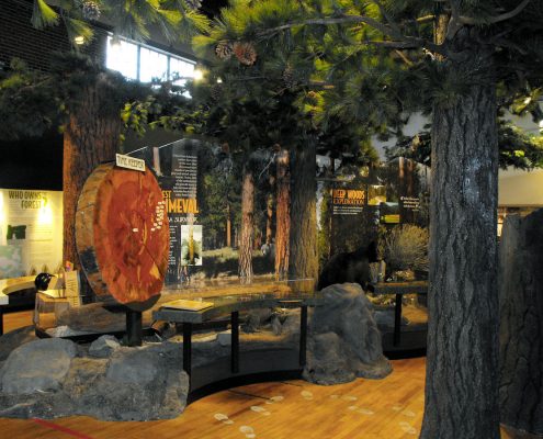 Trees-Tree-Nature-Maker-Naturemaker-Art-Artificial-Fake-Custom-design-unique-best-commercial-Sculptures-pine-museum