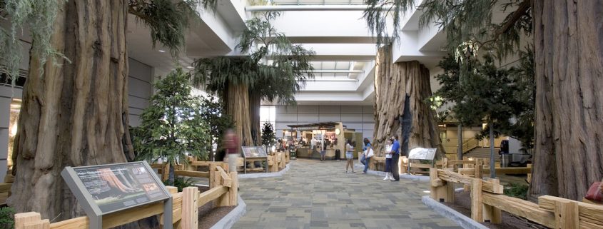 Trees-Tree-Nature-Maker-Naturemaker-Art-Artificial-Fake-Custom-design-unique-best-sequoia-fresno-airport-landscaping