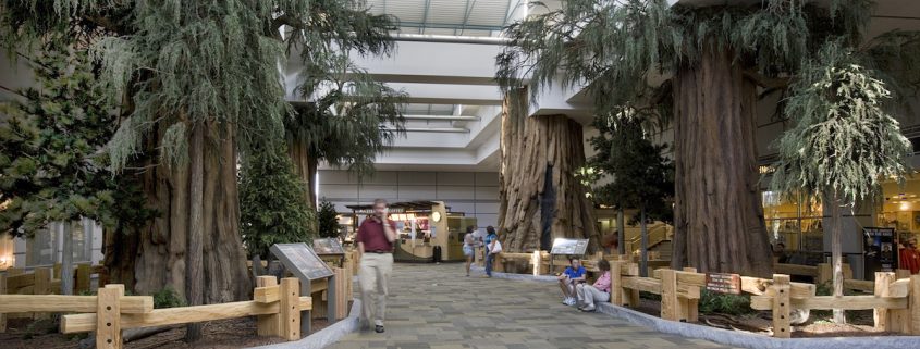 Trees-Tree-Nature-Maker-Naturemaker-Art-Artificial-Fake-Custom-design-unique-replica-sequoia-fresno-airport-sculptures