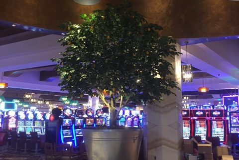 Trees-Tree-Nature-Maker-Naturemaker-Art-Artificial-Fake-Custom-design-unique-lemon-resort-casino-commercial-seneca