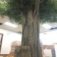 Trees-Tree-Nature-Maker-Naturemaker-Art-Artificial-Fake-Custom-design-best-georgia-library-commercial-oak