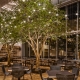 Ficus benjamina Steel Art Trees in dining area as centerpiece with lights