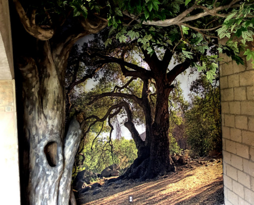 NatureMaker Sycamore Steel Art Tree at Mission Trails Regional Park Visitor and Interpretive Center, San Diego, CA