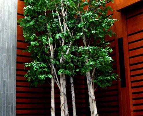 Birch Steel Art Trees at McMaster University, Hamilton, Ontario