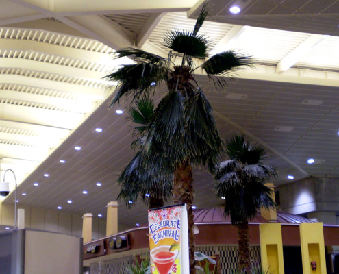 Palm Steel Art Tree, Tampa International Airport
